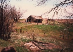 Domsten farm