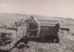 Rasmus Domsten farming