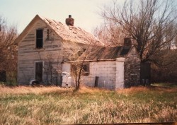 Domsten farm
