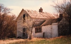 Domsten farm