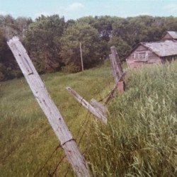 Domsten farm