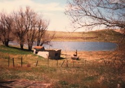 Domsten farm