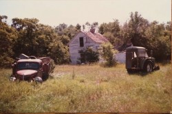 Domsten farm (mid 1980s)