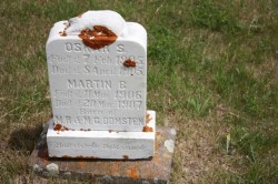 Oskar and Martin B Domsten Grave