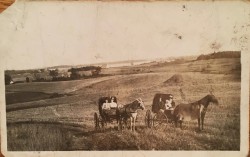 Front of postcard to Mary Domsten