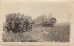 Rasmus Domsten farming