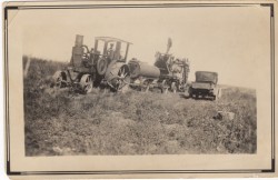 Rasmus Domsten farming