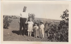 Genealogy - Domsten Family Pictures 14 result