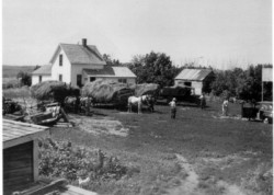 Otto Carlson farm in Kandiyohi Township, North Dakota